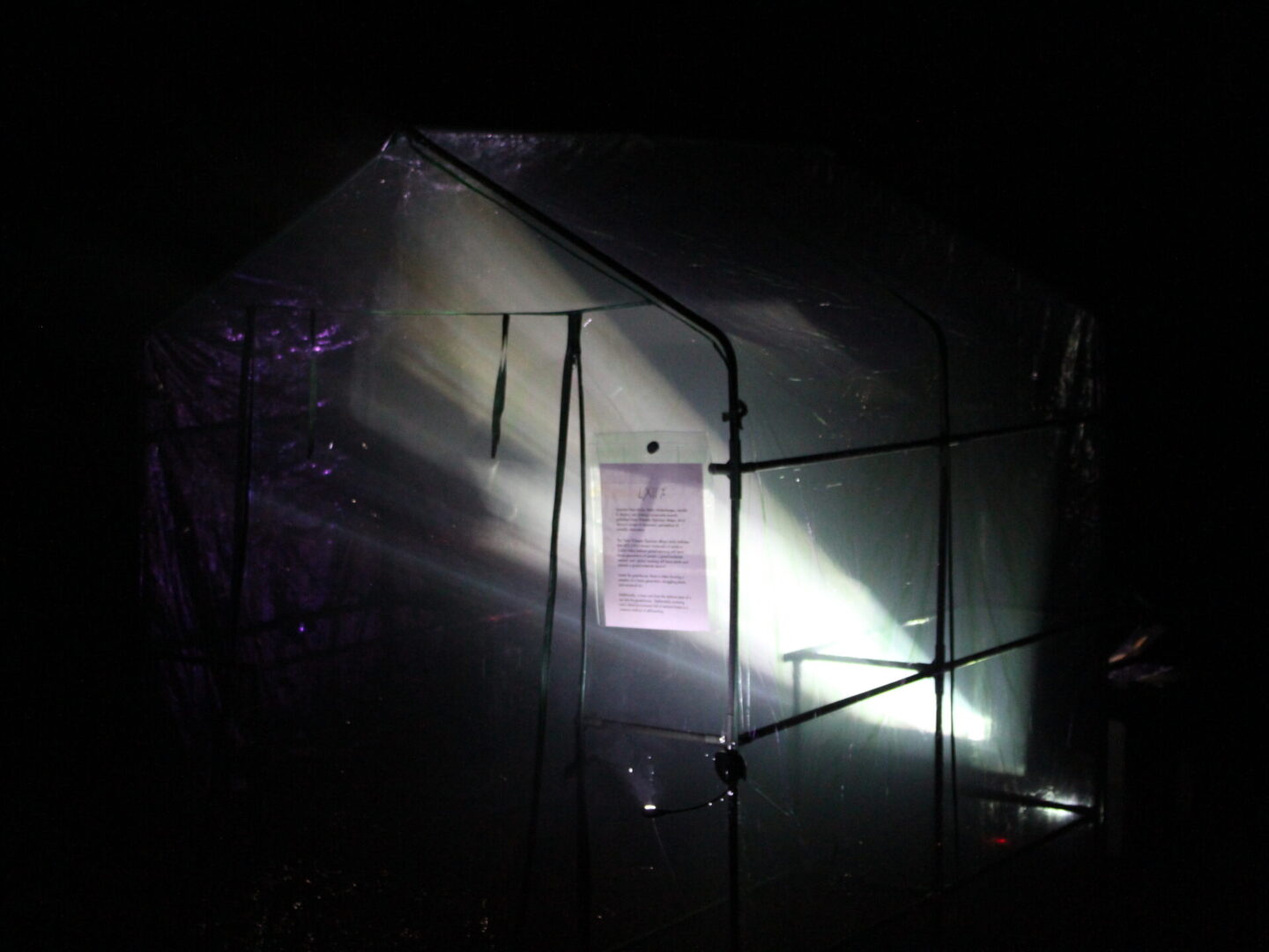 Light coming out from the transparent tent house