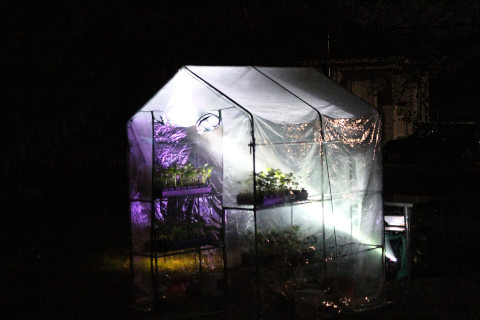 A transparent tent with plants and a light coming over